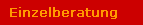 Einzelberatung