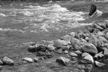 Ennsfluss