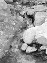 Wasser