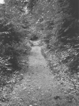 Weg