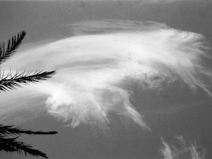 Wolken-Engel